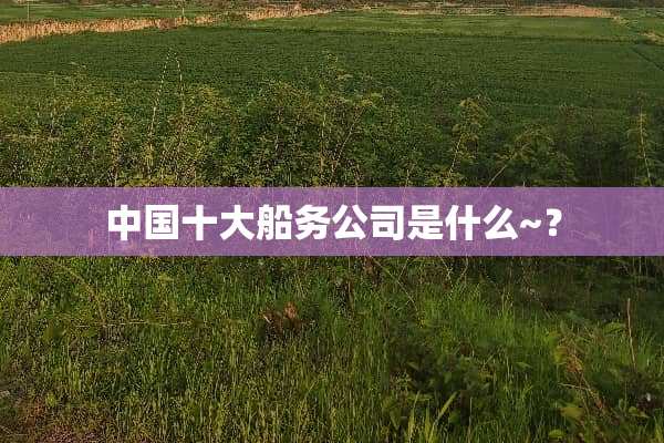中国十大船务公司是什么~？