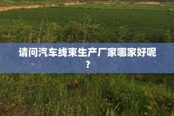 请问汽车线束生产厂家哪家好呢？