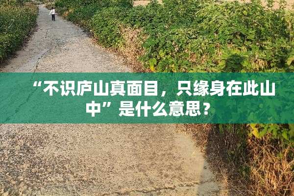 “不识庐山真面目，只缘身在此山中”是什么意思？