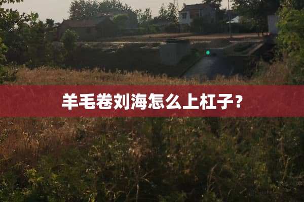 羊毛卷刘海怎么上杠子？