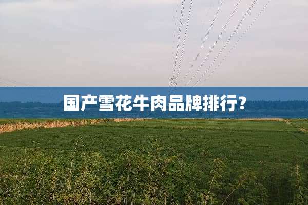 国产雪花牛肉品牌排行？