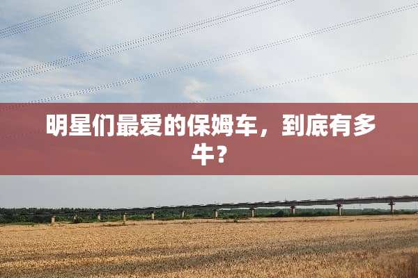 明星们最爱的保姆车，到底有多牛？