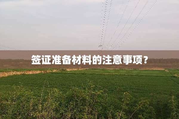 签证准备材料的注意事项？