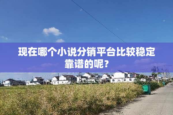现在哪个小说分销平台比较稳定靠谱的呢？