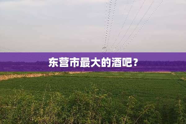 东营市最大的酒吧？