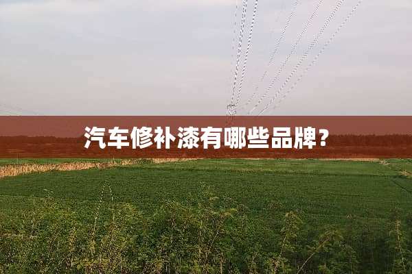 汽车修补漆有哪些品牌？