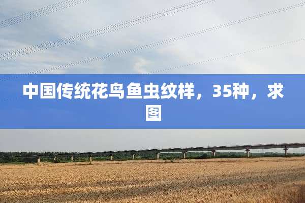 中国传统花鸟鱼虫纹样，35种，求图