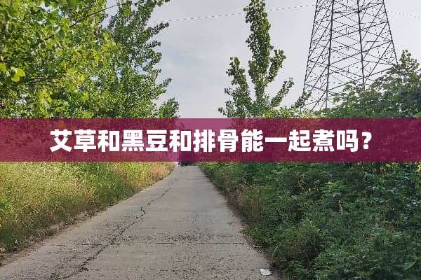 艾草和黑豆和排骨能一起煮吗？