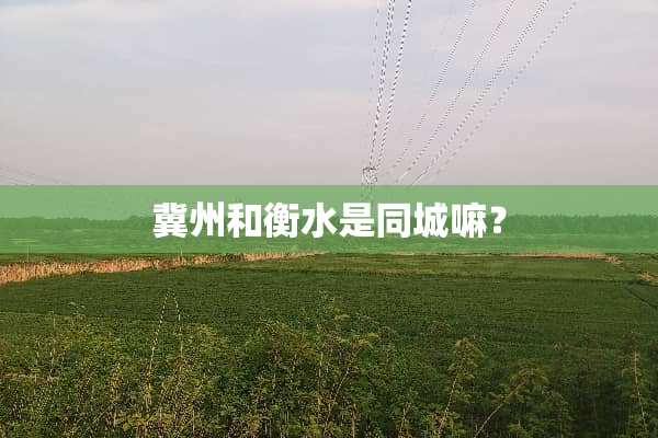 冀州和衡水是同城嘛？