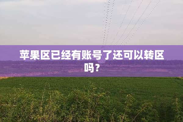 苹果区已经有账号了还可以转区吗？