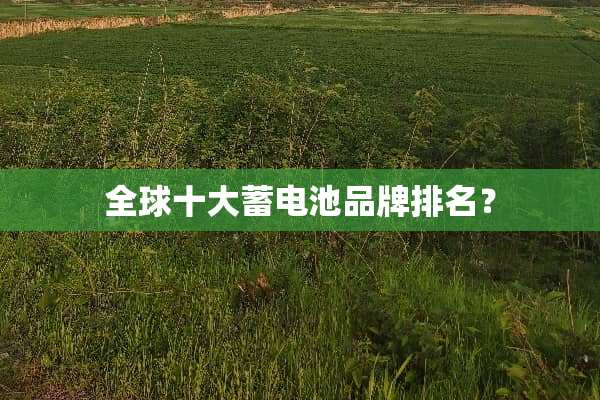 全球十大蓄电池品牌排名？