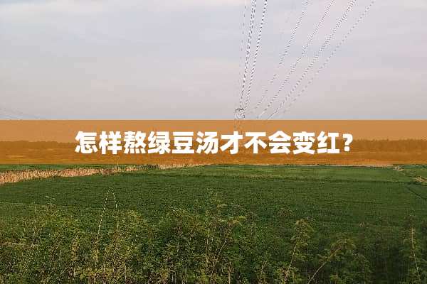 怎样熬绿豆汤才不会变红？