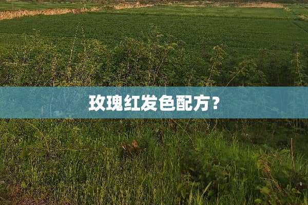 玫瑰红发色配方？