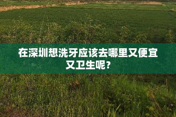 在深圳想洗牙应该去哪里又便宜又卫生呢？