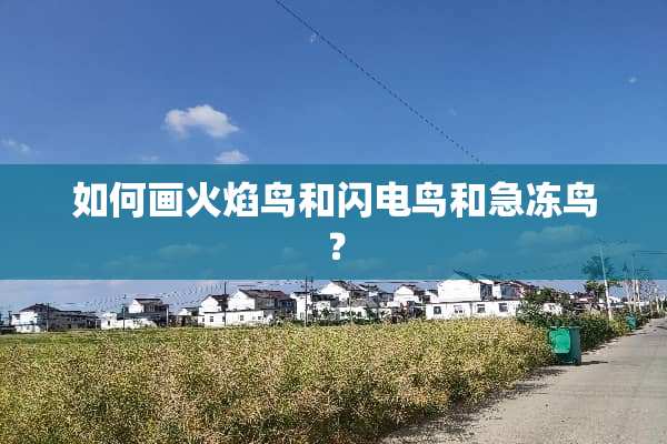 如何画火焰鸟和闪电鸟和急冻鸟？