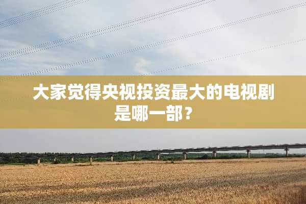 大家觉得央视投资最大的电视剧是哪一部？