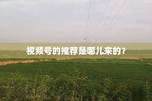 视频号的推荐是哪儿来的？