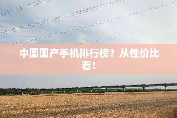 中国国产手机排行榜？从性价比看！