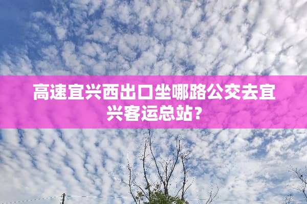 高速宜兴西出口坐哪路公交去宜兴客运总站？