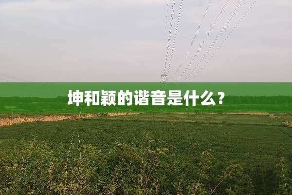 坤和颖的谐音是什么？