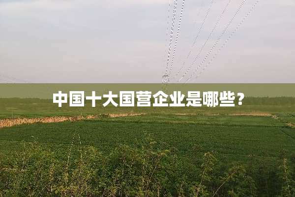 中国十大国营企业是哪些？