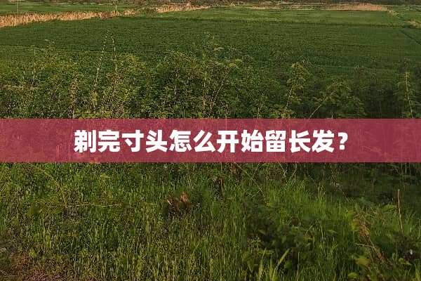 剃完寸头怎么开始留长发？