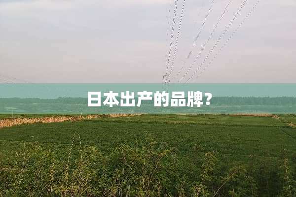 日本出产的品牌？