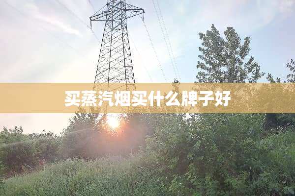 买蒸汽烟买什么牌子好