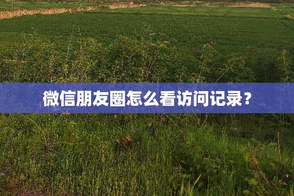 微信朋友圈怎么看访问记录？