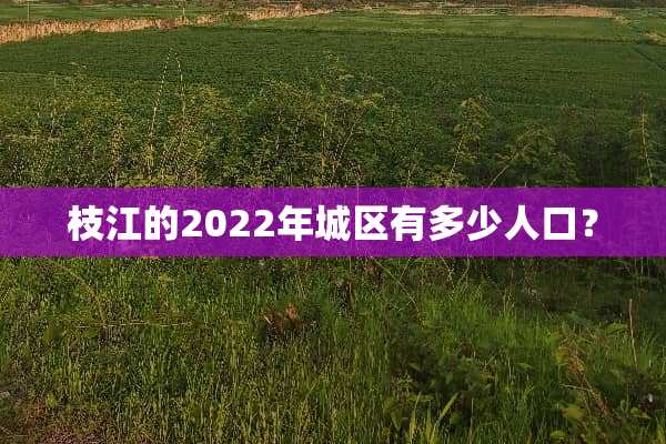 枝江的2022年城区有多少人口？