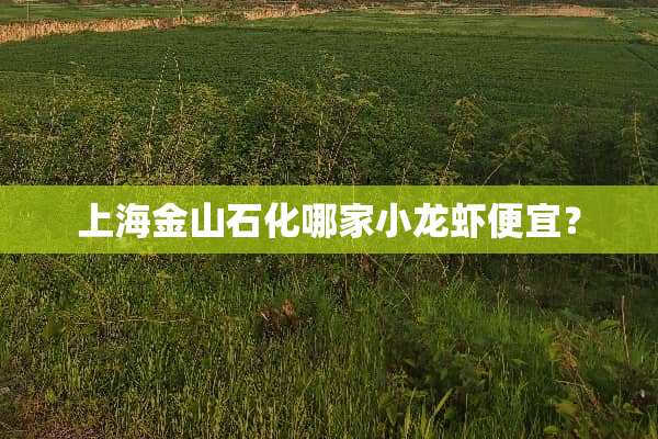 上海金山石化哪家小龙虾便宜？