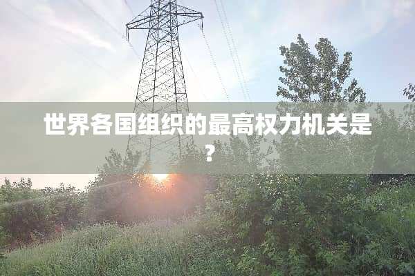 世界各国组织的最高权力机关是？