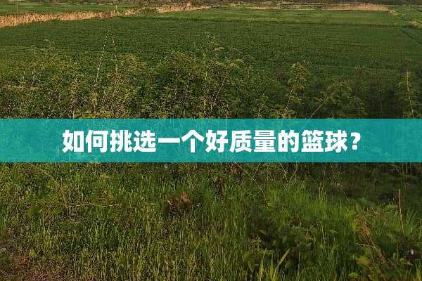 如何挑选一个好质量的篮球？