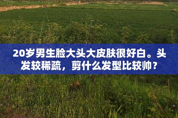 20岁男生脸大头大皮肤很好白。头发较稀疏，剪什么发型比较帅？