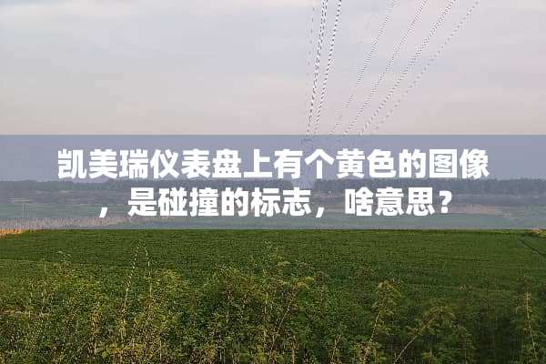 凯美瑞仪表盘上有个**的图像，是碰撞的标志，啥意思？