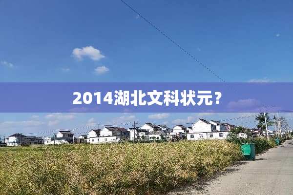 2014湖北文科状元？