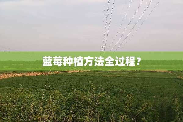 蓝莓种植方法全过程？