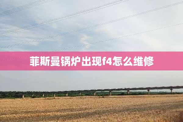 菲斯曼锅炉出现f4怎么维修