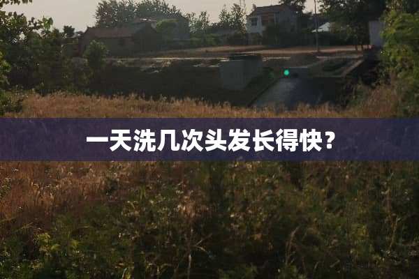 一天洗几次头发长得快？