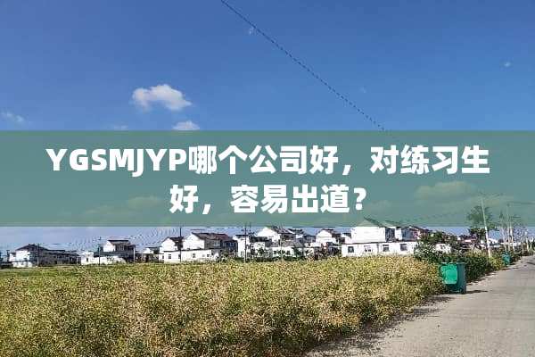 YGSMJYP哪个公司好，对练习生好，容易出道？