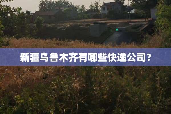 新疆乌鲁木齐有哪些快递公司？