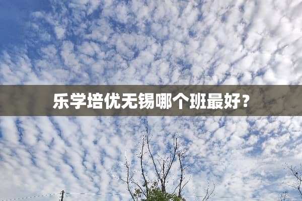 乐学培优无锡哪个班最好？