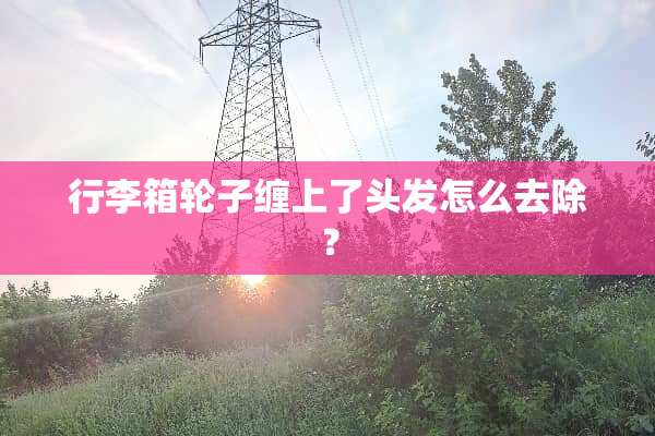 行李箱轮子缠上了头发怎么去除？