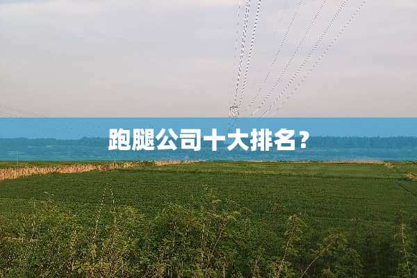 跑腿公司十大排名？