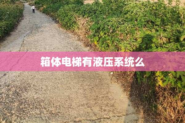 箱体电梯有液压系统么