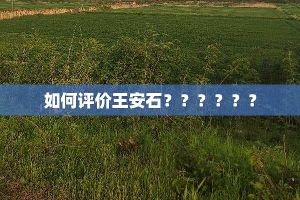 如何评价王安石？？？？？？
