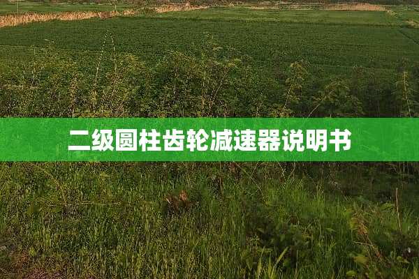 二级圆柱齿轮减速器说明书