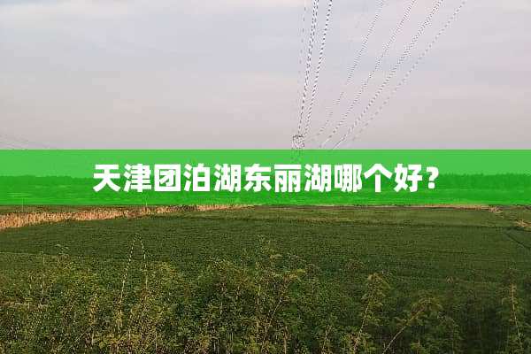 天津团泊湖东丽湖哪个好？