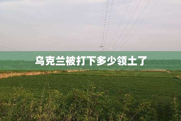 乌克兰被打下多少领土了