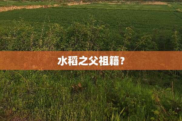 水稻之父祖籍？